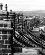 View Along Rooftops